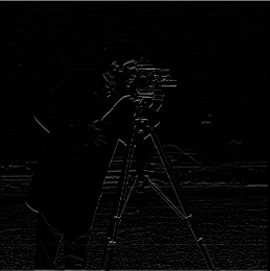 cameraman_dy